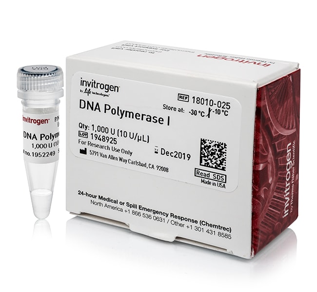 250 UNIT DNA POLYMERASE I E.COLI STORE A